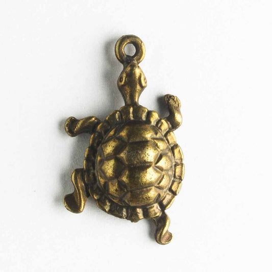 Charm - Turtle