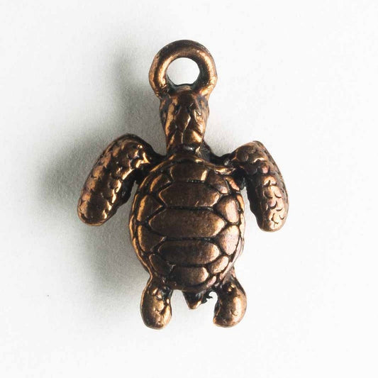 Charm - Turtle