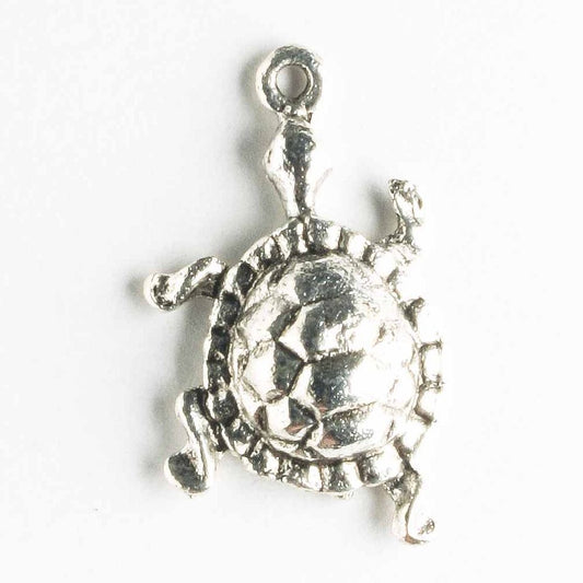 Charm - Turtle