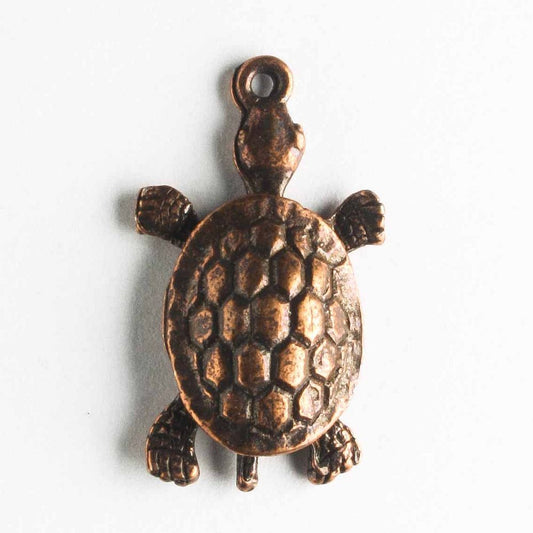 Charm - Turtle