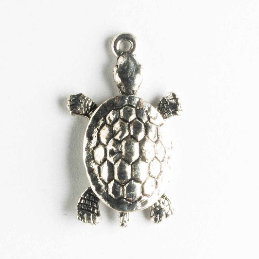 Charm - Turtle