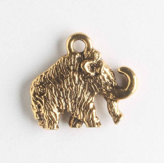 Charm - Elephant